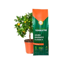 Adubo Orgânico Vitamina Terrestre Para Frutíferas - 1Kg - 1 Kilo