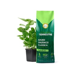 Adubo Orgânico Vitamina Terrestre Para Hortaliças - 1Kg - 1 Kilo