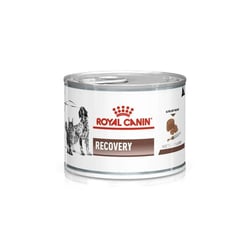 Alimento Úmido Royal Canin Recovery Para Cães E Gatos - 195G