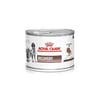 Alimento Úmido Royal Canin Recovery Para Cães E Gatos - 195G