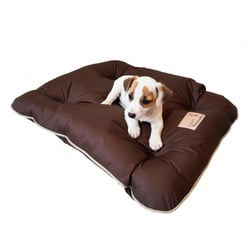 Almofadog Marrom Pickorruchos Tamanho M - 1 Unidade