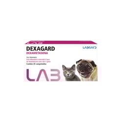 Anti-Inflamatório Dexagard Para Cães E Gatos - 20 Comprimidos