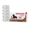 Anti-Inflamatório Meloxinew 1Mg Para Cães E Gatos - 10 Comprimidos