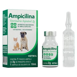 Antibiótico Ampicilina Injetável 2G - 1 Unidade