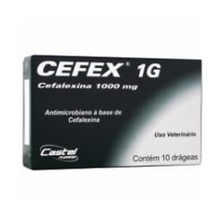 Antibiótico Castel Pharma Cefex 1000Mg Para Cachorros - 1 Unidade