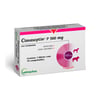 Antibiótico Clavaseptin P 500Mg Para Cães E Gatos - 1 Comprimido