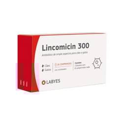 Antibiótico Labyes Lincomicin 300 - 16 Comprimidos