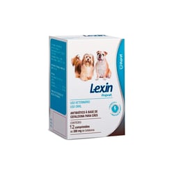 Antibiótico Lexin 300Mg Duprat - 12 Comprimidos
