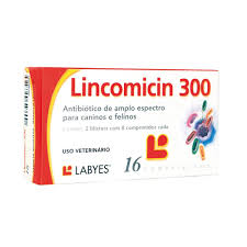 Antibiótico Lincomicin 300Mg - 16 Unidades