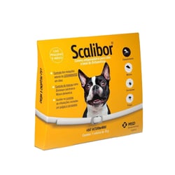 Antiparasitária Scalibor Para Cães Pequenos E Médios - 1 Coleira 48 Cm