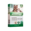 Antipulgas Advantage Para Cães E Gatos De Até 4Kg - 1 Unidade