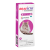 Antipulgas Bravecto Transdermal Para Gatos De 6,25 A 12,5Kg - 500Mg - 1 Unidade