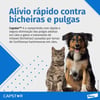 Antipulgas Capstar 11,4Mg Para Caes De Ate 11,4Kg C/6 Comprimidos