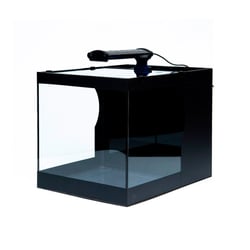 Aquario Aquaterrario Aquafacil Para Peixes