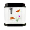 Aquário Beteira Acqua Kit 2.0 - 5,5L