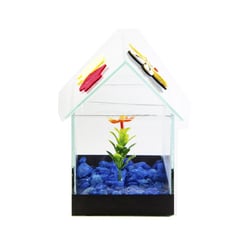 Aquario Beteira Design Para Peixes Casinha Decorada