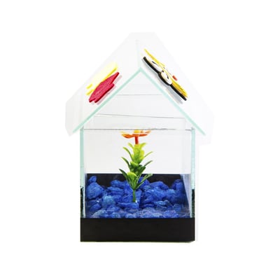 Aquario Beteira Design Para Peixes Casinha Decorada