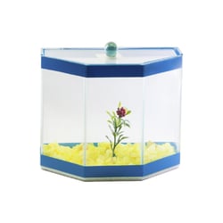 Aquario Beteira Design Para Peixes Omega Decorada Cores Sortidas