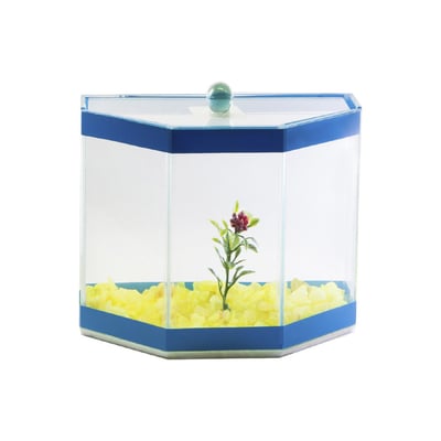 Aquario Beteira Design Para Peixes Omega Decorada Cores Sortidas