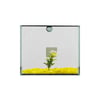 Aquario Beteira Design Tubular Decorada