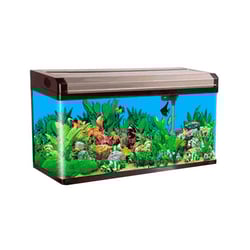 Aquário Boyu Curvo 100 Preto Champagne - 187 Litros - 220 Volts