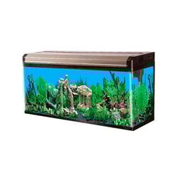 Aquário Boyu Curvo 120 246 Litros Preto Champagne - 110 Volts
