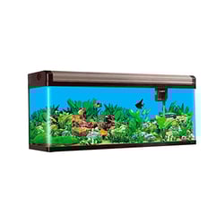 Aquário Boyu Curvo 150 472 Litros Preto Champagne - 1 Unidade - 110 Volts
