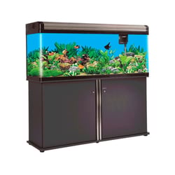 Aquário Boyu Curvo 150 472 Litros Preto Champagne - 220 Volts