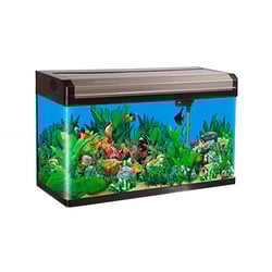 Aquario Boyu Curvo 80 148 Litros Preto Champagne - 220 Volts
