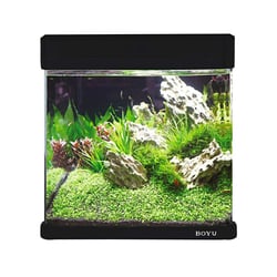 Aquário Boyu Curvo Ms 220 Preto - 7,5 Litros 110V Para Peixes - 110 Volts