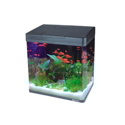 Aquário Boyu Curvo Preto Ms-420 31L Para Peixes - 220 Volts