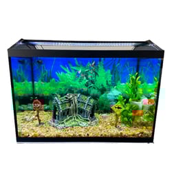 Aquário Completo Lester 26L