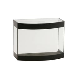 Aquario Curvo Aquaterrario Faixa Preta - 5 Litros
