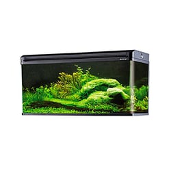 Aquário Curvo Boyu 200L Preto 220V - 1 Unidade