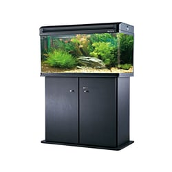 Aquário Curvo Boyu Ea-80E 95L Led - 220V Para Peixes - 220 Volts