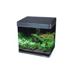 Aquário Curvo Boyu Ms-320 Preto - 20L Para Peixes - 220 Volts