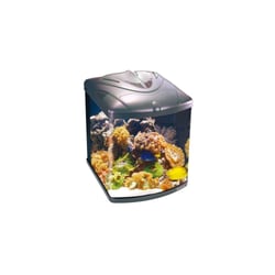 Aquário Curvo Boyu Tl 550 128 Litros - 220 Volts