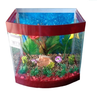 Aquario Curvo Vision Luxo Cores Sortidas