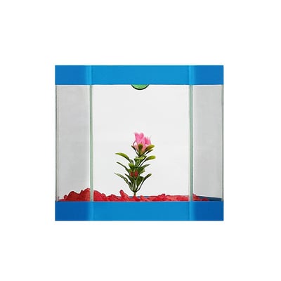 Aquario Eden Peixes Beteira Decorado Cores Sortidas