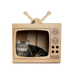 Arranhador Tv Cansei De Ser Gato - 1 Unidade