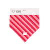Bandana Urban Puppy Rosa Para Cães