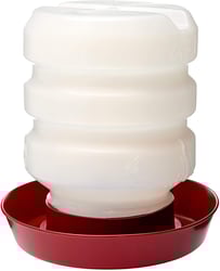 Bebedouro Automático Alvorada Para Frango 3,7L - 1 Unidade