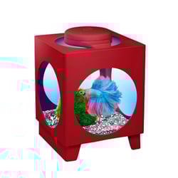 Beteira Com Iluminação Led Para Peixes - Vinho/ Vermelho 1.8L - 1 Unidade.