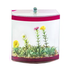 Beteira Design Vision Para Peixes Com Planta - Cores Sortidas - Tamanho 3