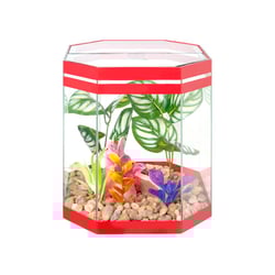Beteira Lester Octo 8,5L Para Peixes