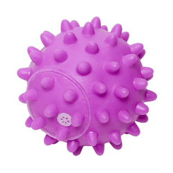 Brinquedo Bola Espinho Vinil 8.5Cm Roxo - 1 Unidade Para Cachorros