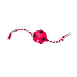 Brinquedo Bola Pata Osso Mini Color Com Corda - 1 Unidade Para Cachorros