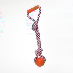Bolinha De Borracha Com Cordão Flicks Único
