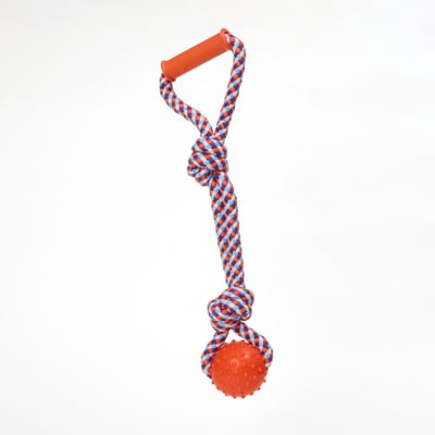 Bolinha De Borracha Com Cordão Flicks Único