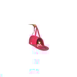 Bolsa De Transporte Luxo Bichinho Chic Rosa P - 1 Unidade